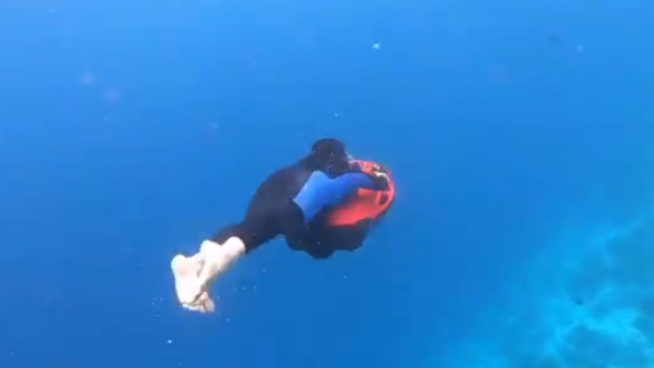 Pranitha Subhash spotted with scooter diving underwater in the Maldives Pranitha Subhash spotted with scooter diving underwater in the Maldives
