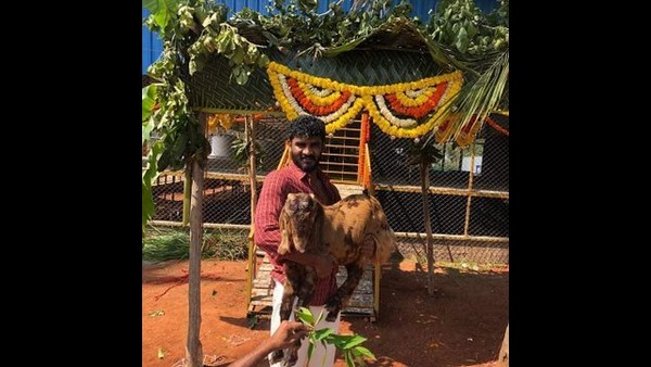 ನಾಯಕ ನಟನಾಗುತ್ತಿರುವ ಚಿಕ್ಕಣ್ಣ