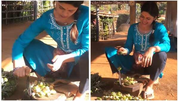 ಅಜ್ಜಿ ಮನೆಯಲ್ಲಿ ಅಡಿಕೆ ಸುಲಿಯುತ್ತಿರುವ ಆಶಾ ಭಟ್