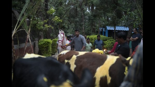 2006 ರಿಂದಲೂ ದರ್ಶನ್ ಅಭಿಮಾನಿ