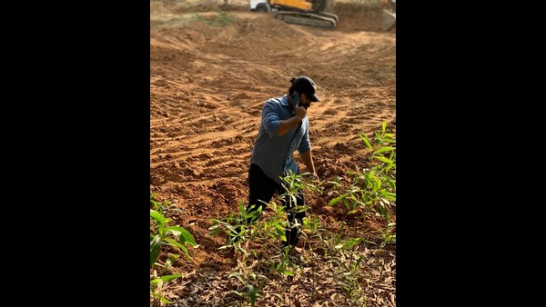 ಕೊಳವೆ ಬಾವಿ ರಹಿತ ತೋಟಗಾರಿಕೆ