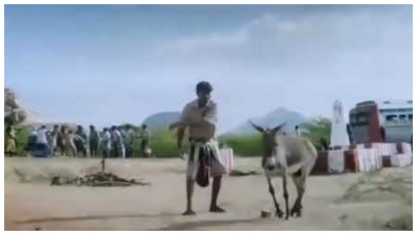 ಮುಂಗಾಲು ಕಟ್ಟಿದ ಕತ್ತೆ
