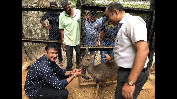 ದಯವಿಟ್ಟು ಪ್ರಾಣಿಗಳನ್ನು ದತ್ತು ಪಡೆಯಿರಿ