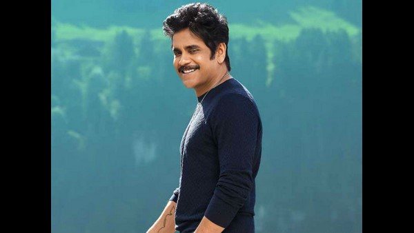 ನಾಗಾರ್ಜುನಗೆ ಹಿಟ್ ಕೊಟ್ಟ ಚಿತ್ರ