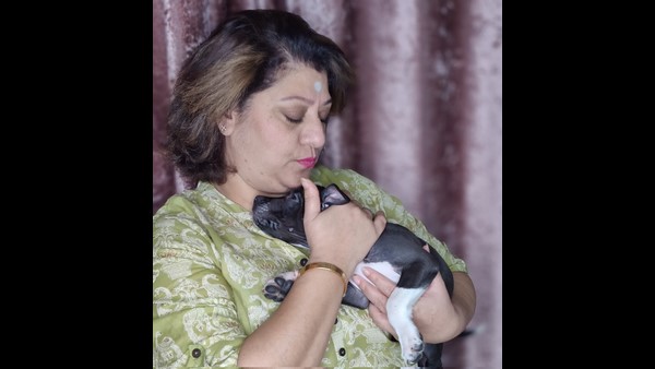 ಒಂದು ಕಾಲದ ಜನಪ್ರಿಯ ನಟಿ ಮಾಲಾಶ್ರೀ