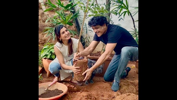 ಸಮಂತಾ ಟ್ವೀಟ್ಗೆ ಪ್ರತಿಕ್ರಿಯಿಸದ ನಾಗಾರ್ಜುನ