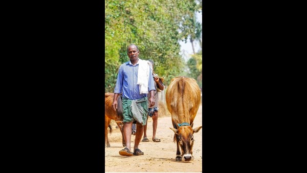 ವನ್ನಿಯಾರ್ ಕಲಸಂ ನೋಡಿ ಆಘಾತವಾಯಿತು
