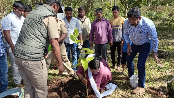 ಪ್ರಾಮಾಣಿಕ ಪ್ರಯತ್ನ ಮಾಡುತ್ತಿದ್ದೇನೆ: ತಾರಾ