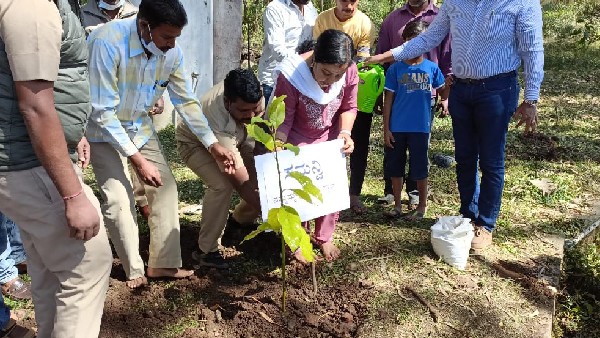 ನಷ್ಟದಲ್ಲಿರುವ ಸಂಸ್ಥೆ
