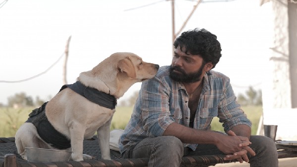 '777 ಚಾರ್ಲಿ'ಗೆ ಫುಲ್ ಮಾರ್ಕ್ಸ್ ಕೊಟ್ಟ ರಾಣಾ ದಗ್ಗು ಬಾಟಿ