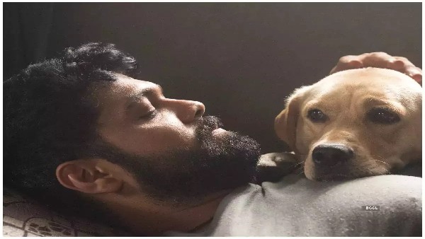 ಎಲ್ಲ ಪ್ರಶಸ್ತಿಗಳು ಚಾರ್ಲಿಗೆ ಸಲ್ಲಿಕೆಯಾಗಬೇಕು: ರಕ್ಷಿತ್