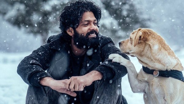 ನಾಯಿಗಳನ್ನು ದತ್ತು ತೆಗೆದುಕೊಳ್ಳುವಂತಾಗಬೇಕು: ರಕ್ಷಿತ್