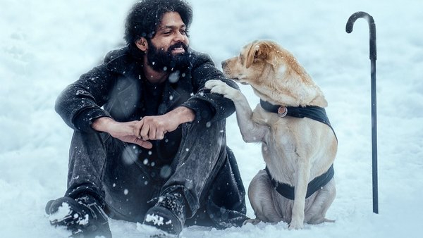 ಹಲವು ಸೆಲೆಬ್ರಿಟಿಗಳು ಸಿನಿಮಾವನ್ನು ಮೆಚ್ಚಿಕೊಂಡಿದ್ದಾರೆ