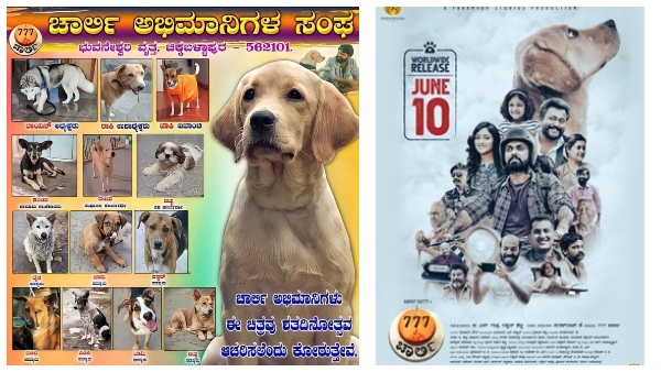 ಚಾರ್ಲಿ ನಾಯಿ ಈಗ ದೊಡ್ಡ ಸೆಲೆಬ್ರೆಟಿ!