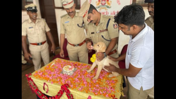 20 ಸಾವಿರಕ್ಕೆ ಚಾರ್ಲಿ ಖರೀದಿ