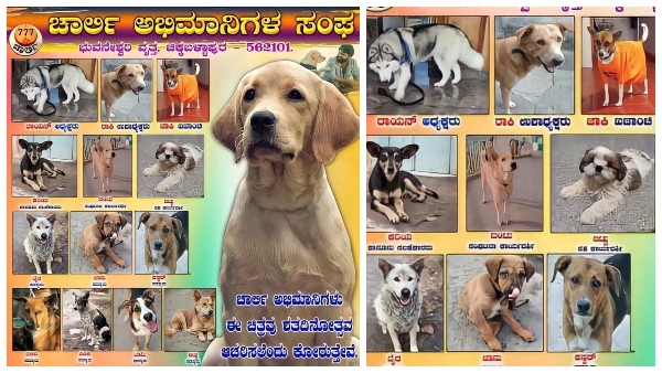 ಚಾರ್ಲಿ ನಾಯಿಗೆ, ನಾಯಿಗಳ ಅಭಿಮಾನಿ ಸಂಘ!
