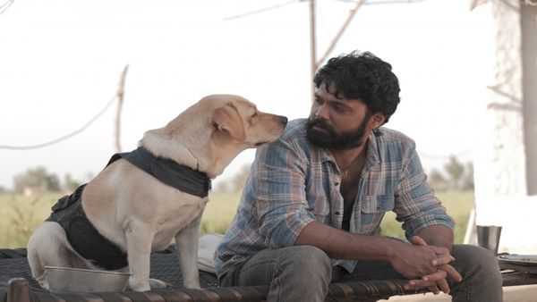 ಬಾಕ್ಸಾಫೀಸ್ ಕಲೆಕ್ಷನ್ ಎಷ್ಟು?