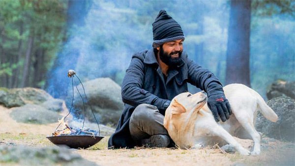 '777 ಚಾರ್ಲಿ' ಸಿನಿಮಾಕ್ಕಿಂತಲೂ ಒಳ್ಳೆಯ ಸಿನಿಮಾ ಬೇಕೆ?