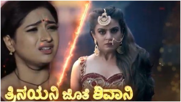 ನಾಗಿಣಿಗೆ ದುಷ್ಟರ ಪರಿಚಯ
