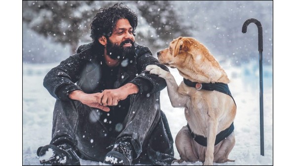 ಚಿಕಿತ್ಸೆ ಹೇಗೆ?