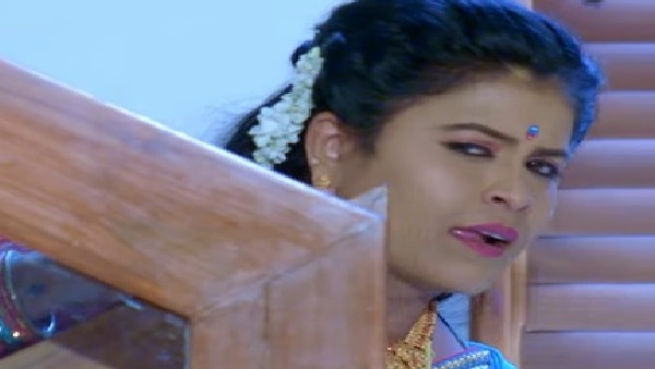 ಸ್ವಾಮೀಜಿ ಹೇಳಿದ ಮಾತು ಕದ್ದಾಲಿಸಿದ ದಾಮಿನಿ