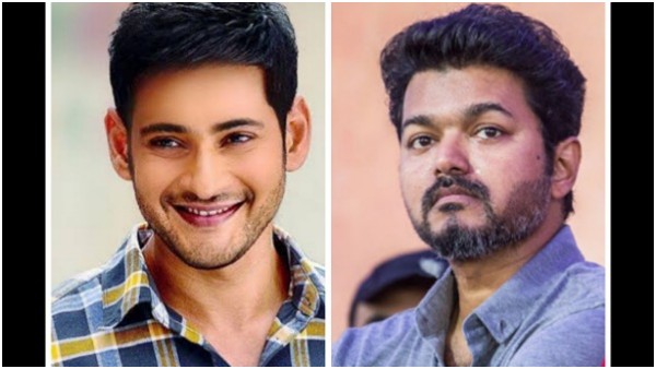 Mahesh Babu and Thalapathy Vijay fans Dirty Twitter war Mahesh Babu and Thalapathy Vijay fans Dirty Twitter war