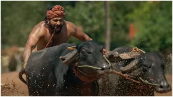 ಧೂಳೆಬ್ಬಿಸಿದ 'ಕಾಂತಾರ' ಟ್ರೈಲರ್
