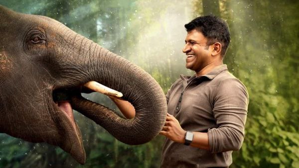 ಮೂರು ದಿನಗಳ ಒಟ್ಟು ಕಲೆಕ್ಷನ್ ಎಷ್ಟು?
