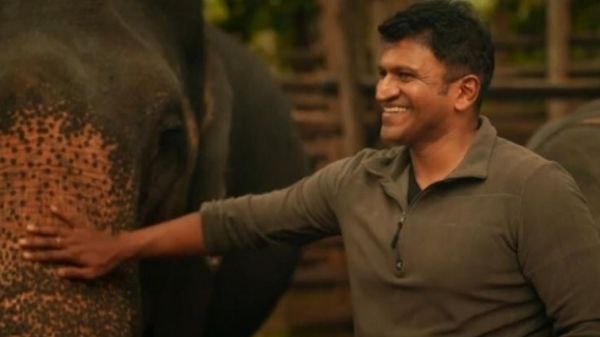 ಗಂಧದಗುಡಿ ಸಲುವಾಗಿ ಸಾಲು ಸಾಲು ಕಾರ್ಯಕ್ರಮಗಳು