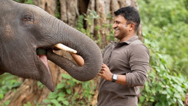 ಚಿಕ್ಕ ವಯಸ್ಸಿನಿಂದಲೂ ಹಾವುಗಳೆಂದರೆ ಅಪ್ಪುಗೆ ಭಯ
