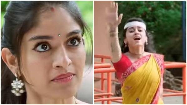 ಹೂವಿ ಪ್ರಾಣ ತೆಗೆಯಲು ಹೋದ ಮಾಲಿನಿ