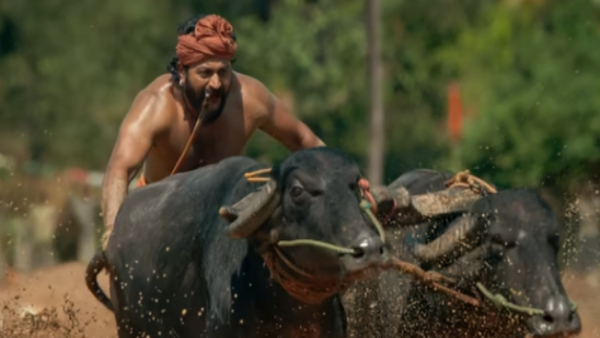 ರಿಷಬ್ ಅಭಿನಯಲ್ಲಿ ರೋಮಾಂಚನಗೊಂಡ ಪ್ರೇಕ್ಷಕರು