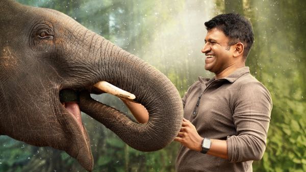 ಎಲ್ಲೆಲ್ಲಿ ಎಷ್ಟು ಪ್ರೀಮಿಯರ್ ಪ್ರದರ್ಶನಗಳು?