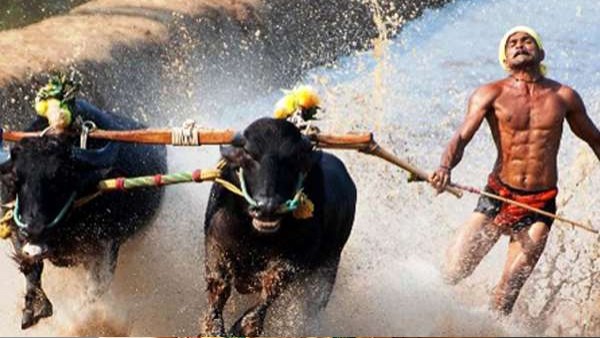'ಬಿರ್ದ್ ದ ಕಂಬುಲ' ಸಿನಿಮಾ
