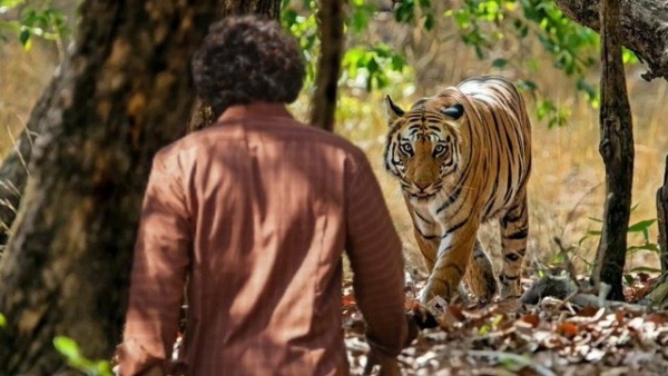 'ಪುಷ್ಪ - 2' ಡೈಲಾಗ್ಸ್ ಲೀಕ್