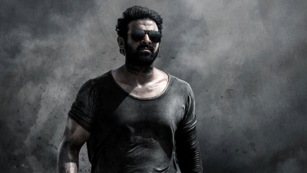 30 ಸೆಕೆಂಡುಗಳ 'ಸಲಾರ್' ಹೇಗಿದೆ?