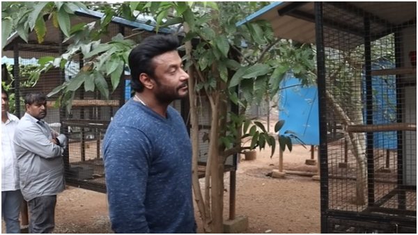 4 ವನ್ಯ ಪಕ್ಷಿಗಳು ವಶಕ್ಕೆ